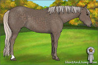 Horse Color:Silver Black 