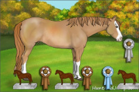 Horse Color:Chestnut Splash Rabicano 