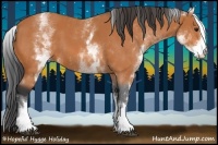Horse Color:White Spotted Bay 