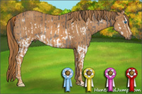 Horse Color:Black Splash Frame  Brindle