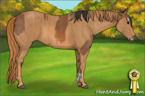 Horse Color: Bay Splash Frame  Brindle