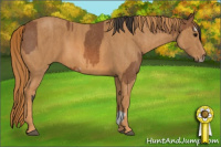 Horse Color:Bay Splash Frame  Brindle