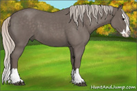 Horse Color:Silver Blue Roan Splash
