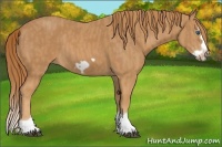 Horse Color:Chestnut Splash Frame  Brindle