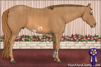 Horse Color:Chestnut Splash Frame  Brindle