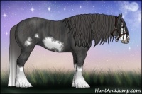 Horse Color:Black Splash Frame Brindle