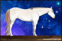 Horse Color:White Spotted Amber Champagne Dun Varnish Rabicano 