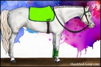 Horse Color:Gold Champagne Roan Dun Splash Tobiano Frame Blanket Rabicano 