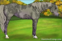 Horse Color:Watercolor Chestnut Ice 