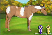 Horse Color:Brown Splash Tobiano Frame  Brindle