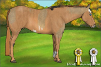 Horse Color:Buckskin Roan Splash Frame  Brindle