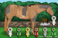 Horse Color:Grullo Splash Frame Brindle