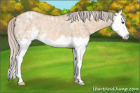Horse Color:Silver Bay Ice Dun Sabino Splash 