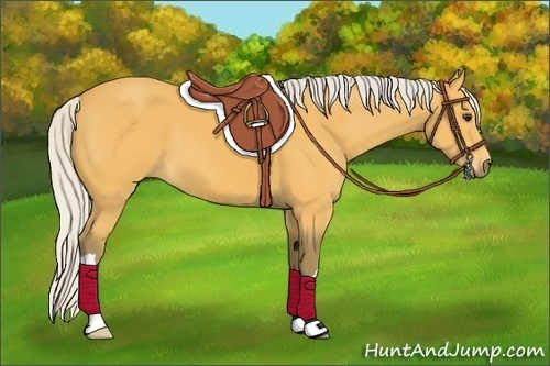 Horse Color: Silver Buckskin 