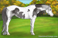 Horse Color:Buckskin Sabino Splash Tobiano 