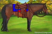 Horse Color:Bay Frame 