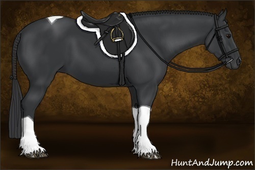 Horse Color:Black Tobiano