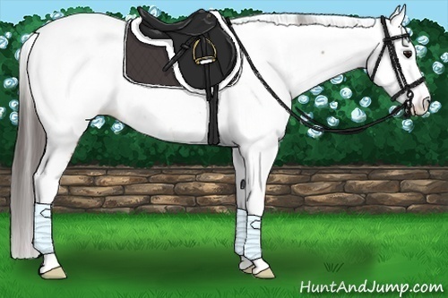 Horse Color:Bay Splash Tobiano Fewspot 