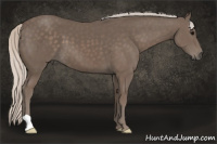 Horse Color:Silver Black 