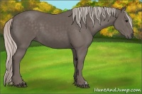 Horse Color:Silver Black 