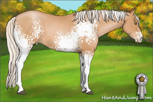 Horse Color: White Spotted Silver Bay Pearl 