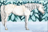 Horse Color:Gray Silver Amber Cream Champagne Roan Dun Splash Tobiano Frame Appaloosa Rabicano 