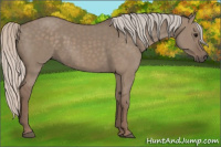 Horse Color:Silver Grullo
