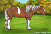 Horse Color:Silver Bay Tobiano 