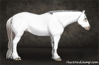 Horse Color:White Spotted Buckskin Splash Frame Blanket 