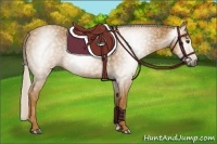 Horse Color:Gray Palomino 