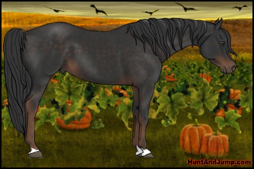 Horse Color: Liver Chestnut 