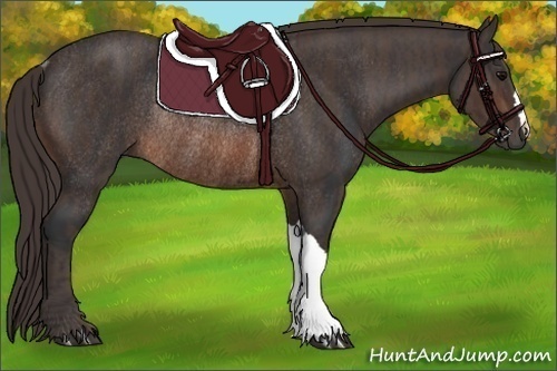 Horse Color: Brown Rabicano  Brindle