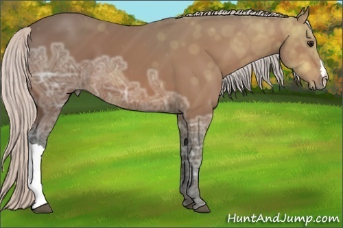 Horse Color: Silver Bay Ice 