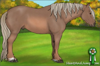 Horse Color:Liver Red Roan Mushroom Sabino 
