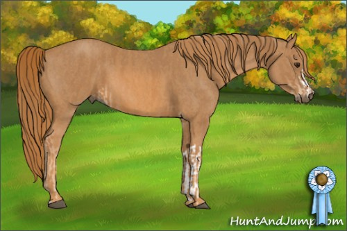 Horse Color: Chestnut  Brindle