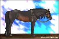 Horse Color:Brown Rabicano Brindle