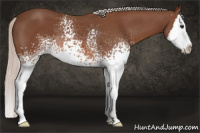 Horse Color:White Spotted Silver Bay Splash