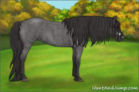 Horse Color:Smoky Blue Roan 