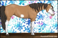 Horse Color:Bay Splash Frame 