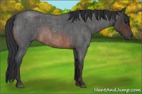 Horse Color:Brown Roan Rabicano  Brindle