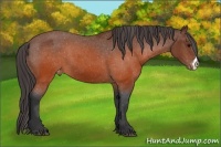 Horse Color:Brown Varnish 