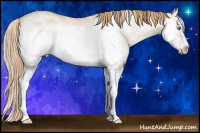 Horse Color:Smoky Grullo Pearl Splash Frame Rabicano 