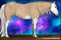 Horse Color:Palomino Roan Splash 