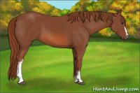 Horse Color:White Spotted Liver Chestnut 