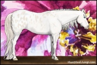 Horse Color:Smoky Creme Dun Blanket 