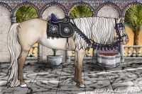 Horse Color:Gray Silver Perlino Dun Rabicano 