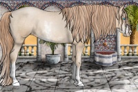 Horse Color:Buckskin Pearl Sabino Varnish Rabicano 