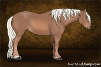 Horse Color:Liver Chestnut Mushroom Sabino Rabicano