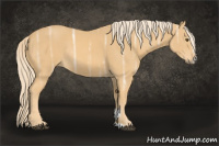 Horse Color:Chocolate Palomino Ice Mushroom Sabino Rabicano 