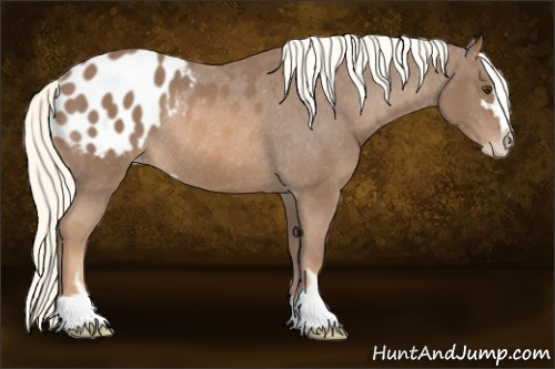 Horse Color: Liver Chestnut Mushroom Sabino Blanket Rabicano 
